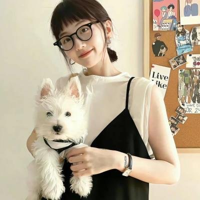 沙普的鹰饰